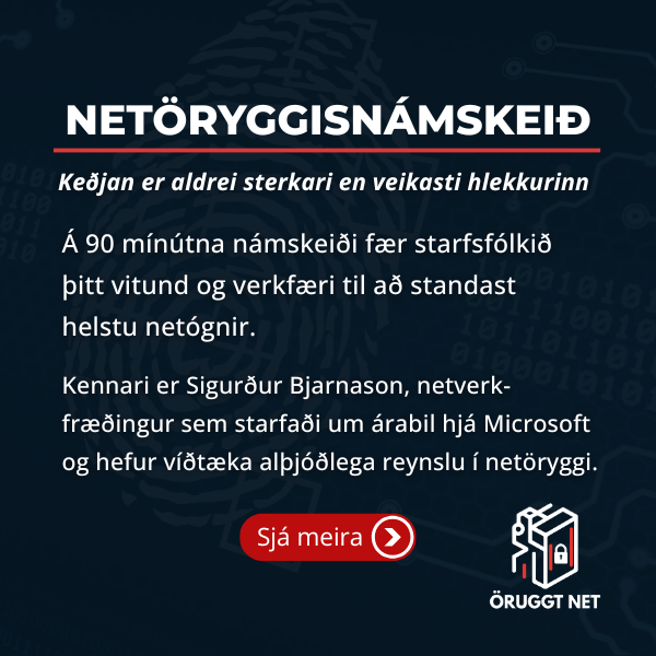 Netöryggisnámskeið